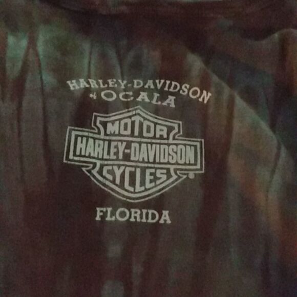 Lot 2 Harley Davidson t shirts sz L /XL - Picture 3 of 5